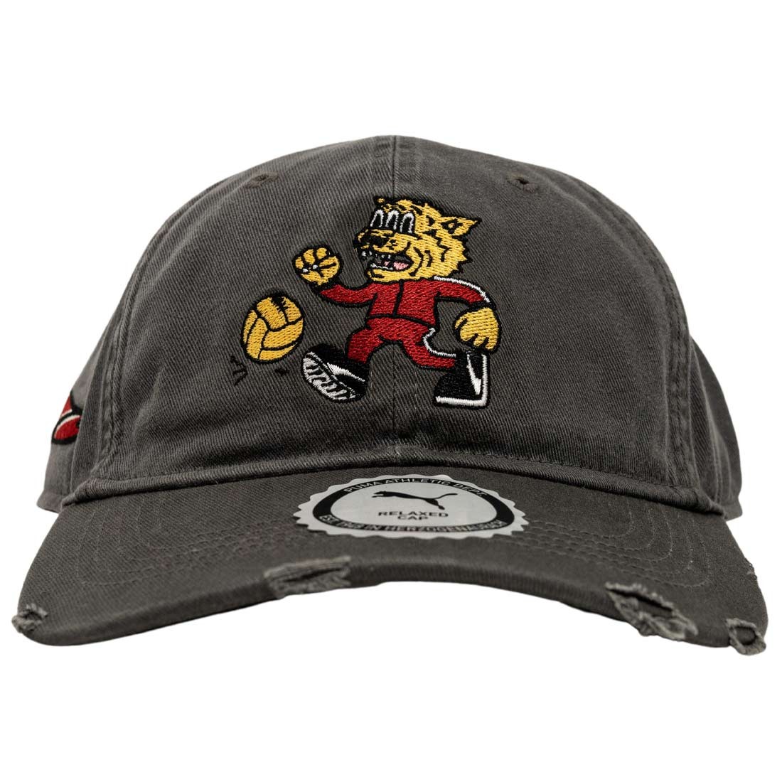 Puma x Hometown Heroes Vintage Dad Cap (gray)