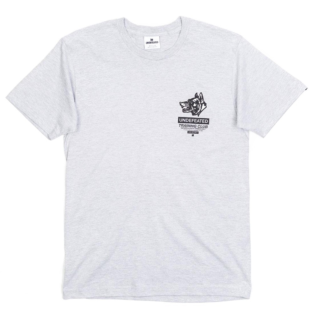 Undefeated Men Training Club Tee (gray / heather)
